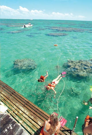 ter
Rio For Partiers
 