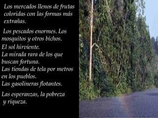 Los mercados llenos de frutas coloridas con las formas más extrañas . L os pescados enormes. Los mosquitos y otros bichos.  El sol hirviente. La mirada rara de los que buscan fortuna. Las tiendas de tela por metros en los pueblos.  Las gasolineras flotantes.  Las esperanzas , la  pobreza y riqueza.  