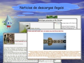 Noticias de descargas ilegais 