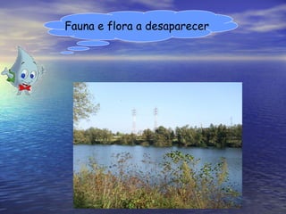 Fauna e flora a desaparecer 