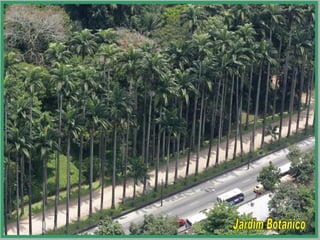 Jardim Botânico 