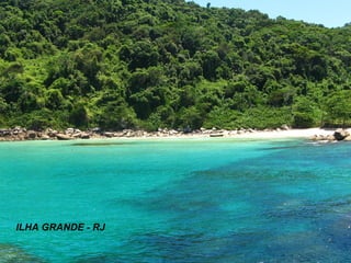 ILHA GRANDE - RJ 