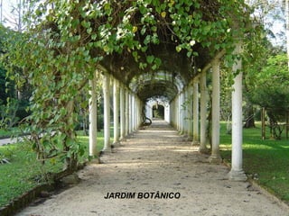JARDIM BOTÂNICO 