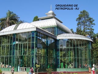 ORQUIDÁRIO DE PETRÓPOLIS - RJ 