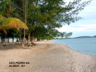 SÃO PEDRO DA ALDEIA - RJ 