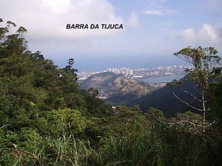 BARRA DA TIJUCA 