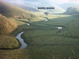 BARRA MANSA 