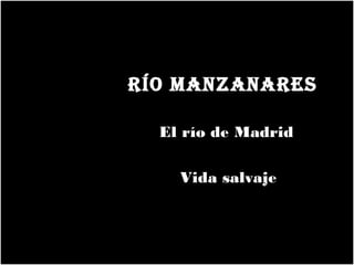 RÍO MANZANARES
El río de Madrid
Vida salvaje

 
