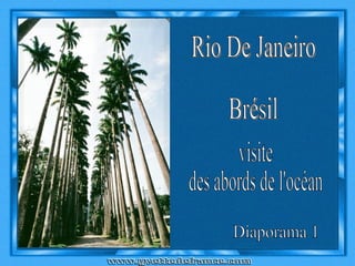 visite des abords de l'océan Diaporama 1 Rio De Janeiro Brésil 