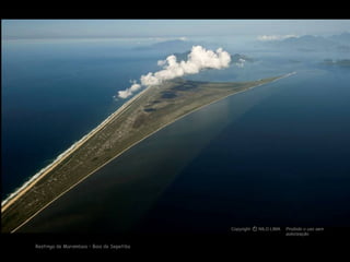 Restinga de Marambaia – Baia de Sepetiba Copyright  NILO LIMA Proibido o uso sem autorização c O 