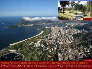 © Pablo Jacob




                                                                                                                © Alicia Nijdam

Flamengo Park (13M ft²), a Botanical Garden in open air, has 11,600 trees of 190 native and exotic species.
O Aterro do Flamengo (1,2M m²), um Jardim Botânico a céu aberto, possui 11.600 árvores de 190 espécies nativas e exóticas.
 
