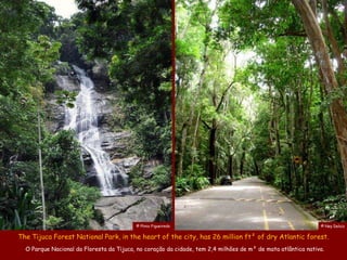 © Plinio Figueiredo                                                 © Ney Deluiz

The Tijuca Forest National Park, in the heart of the city, has 26 million ft² of dry Atlantic forest.
  O Parque Nacional da Floresta da Tijuca, no coração da cidade, tem 2,4 milhões de m² de mata atlântica nativa.
 