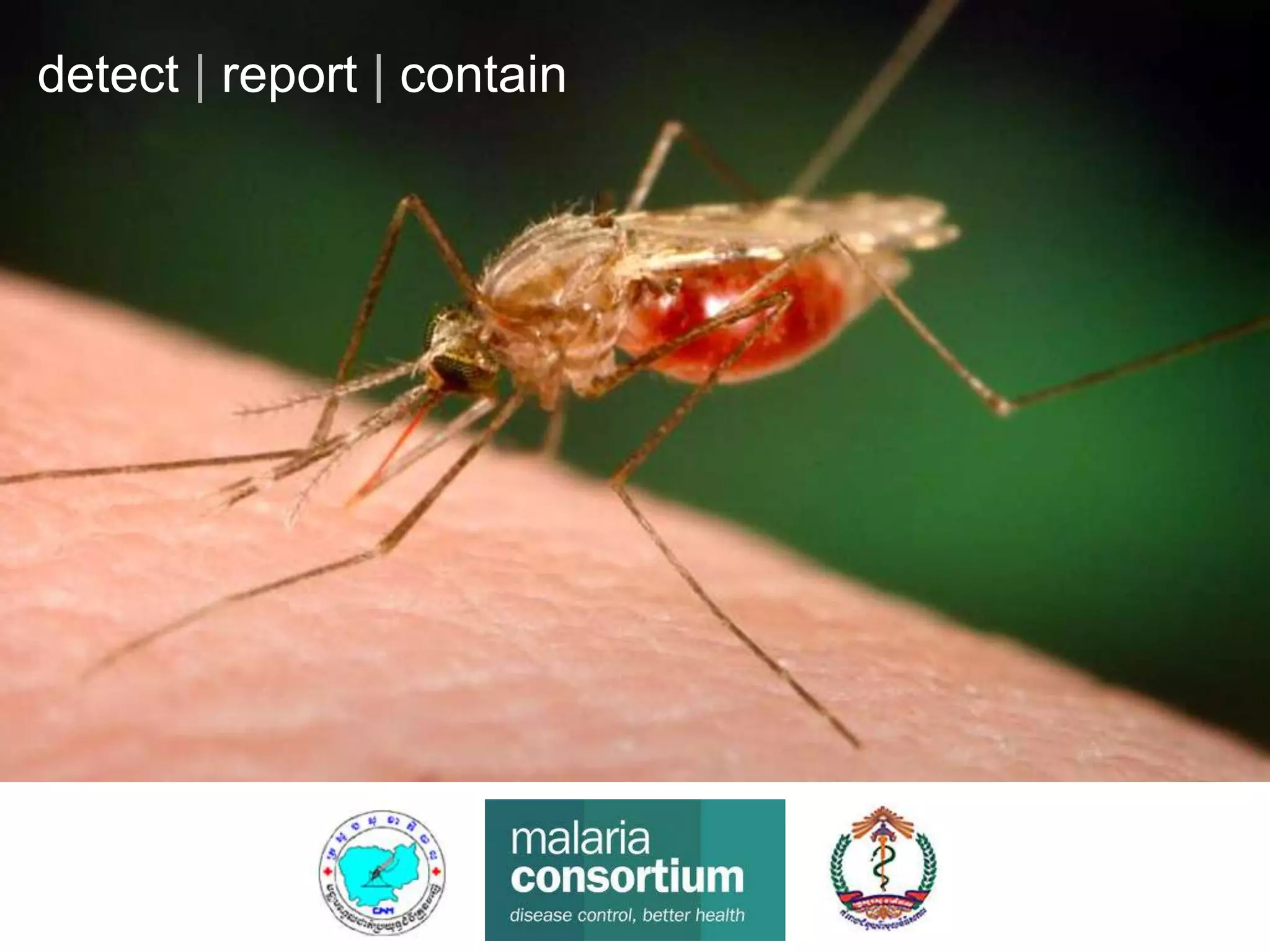 detect | report | contain
 