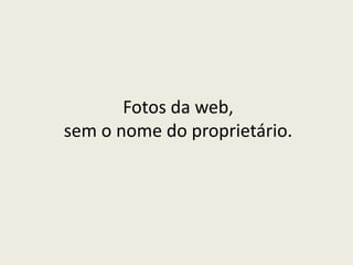 Fotos da web,
sem o nome do proprietário.
 