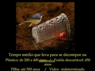 Tempo médio que leva para se decompor na
Plástico: de 200 a 400 natureza:
                       anos / Fralda descartável: 450
                          anos
   Pilha: até 500 anos / Vidro: indeterminado
 