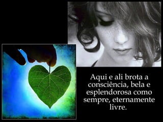 Aqui e ali brota a
 consciência, bela e
 esplendorosa como
sempre, eternamente
       livre.
 