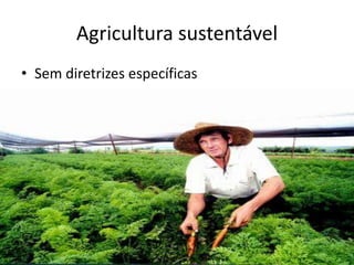 Agricultura sustentável
• Sem diretrizes específicas
 
