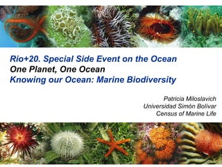 Rio+20. Special Side Event on the Ocean
One Planet, One Ocean
Knowing our Ocean: Marine Biodiversity

                                      Patricia Miloslavich
                               Universidad Simón Bolívar
                                   Census of Marine Life
 