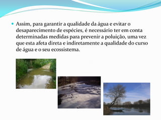  Assim, para garantir a qualidade da água e evitar o
  desaparecimento de espécies, é necessário ter em conta
  determinadas medidas para prevenir a poluição, uma vez
  que esta afeta direta e indiretamente a qualidade do curso
  de água e o seu ecossistema.
 