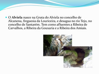  O Alviela nasce na Gruta do Alviela no concelho de
  Alcanena, freguesia da Louriceira, e desagua no rio Tejo, no
  concelho de Santarém. Tem como afluentes a Ribeira de
  Carvalhos, a Ribeira da Gouxaria e a Ribeira dos Amiais.
 