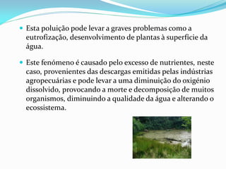  Esta poluição pode levar a graves problemas como a
  eutrofização, desenvolvimento de plantas à superfície da
  água.

 Este fenómeno é causado pelo excesso de nutrientes, neste
  caso, provenientes das descargas emitidas pelas indústrias
  agropecuárias e pode levar a uma diminuição do oxigénio
  dissolvido, provocando a morte e decomposição de muitos
  organismos, diminuindo a qualidade da água e alterando o
  ecossistema.
 