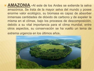  AMAZONIA.-Al este de los Andes se extiende la selva
amazónica. Se trata de la mayor selva del mundo y posee
enorme valor ecológico, su biomasa es capaz de absorber
inmensas cantidades de dióxido de carbono y de expeler la
misma en el clímax, bajo los procesos de descomposición,
debido a su vital importancia para el clima mundial, entre
otros aspectos, su conservación se ha vuelto un tema de
extrema urgencia en los últimos años.
 