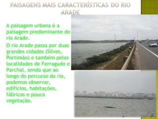 A paisagem urbana é a
paisagem predominante do
rio Arade.
O rio Arade passa por duas
grandes cidades (Silves,
Portimão) e também pelas
localidades de Ferragudo e
Parchal, sendo que ao
longo do percurso do rio,
podemos observar,
edifícios, habitações,
fábricas e pouca
vegetação.
 