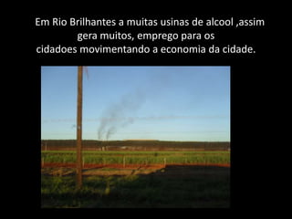    Em Rio Brilhantes a muitas usinas de alcool ,assim gera muitos, emprego para os cidadoes movimentando a economia da cidade.