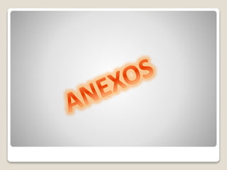 Proyecto de Riochico