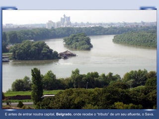 E antes de entrar noutra capital, Belgrado, onde recebe o “tributo” de um seu afluente, o Sava.
 