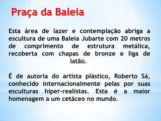 Praça da Baleia
Esta área de lazer e contemplação abriga a
escultura de uma Baleia Jubarte com 20 metros
de comprimento de estrutura metálica,
recoberta com chapas de bronze e liga de
                    latão.

É de autoria do artista plástico, Roberto Sá,
conhecido internacionalmente pelas por suas
esculturas hiper-realistas. Esta é a maior
homenagem a um cetáceo no mundo.
 