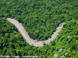 Estrada Grajaú - Jacarepaguá 