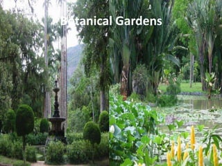 Botanical Gardens