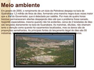 Meio ambienteEm janeiro de 2000, o rompimento de um duto da Petrobras despeja na baía de Guanabara 1,2 milhão de litros de óleo, formando uma mancha negra duas vezes maior que a ilha do Governador, que é detectada por satélite. Por mais de quatro horas bombas permaneceram abertas despejando óleo até que o problema fosse sanado. Segundo especialistas, mesmo quando não há acidentes, cerca de 2 toneladas de óleo são lançadas diariamente na baía de Guanabara. As manchas, diluídas, não chamam tanto a atenção como quando há vazamentos localizados, mas os danos são de proporções semelhantes. As principais fontes do lançamento ilegal de óleo são 55 indústrias, terminais de combustíveis, postos de gasolina, estaleiros e navios.