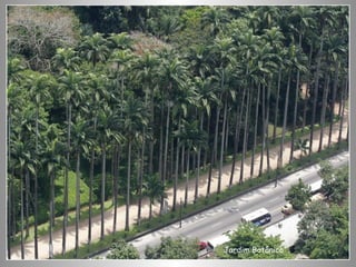 Jardim Botânico 
