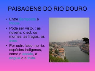 PAISAGENS DO RIO DOURO Entre  Bemposta  e  Picote ,  Pode ser visto, : as nuvens, o sol, os montes, as fragas, as  aves   Por outro lado, no rio, espécies indígenas, como o  escalo , a  enguia  e a  truta . 