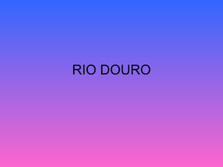 RIO DOURO 