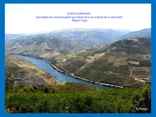 O Doiro sublimado.
O prodígio de uma paisagem que deixa de o ser à força de se desmedir.
Miguel Torga
 