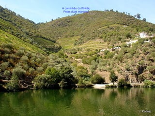 A caminhão do Pinhão
Pelas duas margens
 