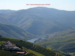 De S. João da Pesqueira para o Pinhão
 