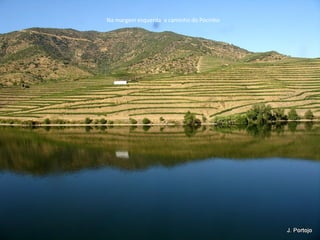 Na margem esquerda a caminho do Pocinho
 