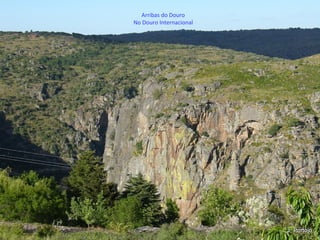 Arribas do Douro
No Douro Internacional
 