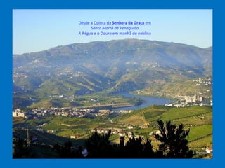 Desde a Quinta da Senhora da Graça em
Santa Marta de Penaguião
A Régua e o Douro em manhã de neblina
 
