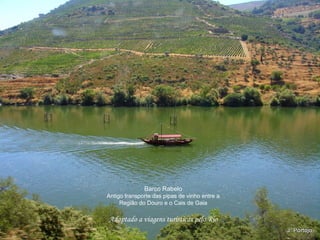 Barco Rabelo
Antigo transporte das pipas de vinho entre a
Região do Douro e o Cais de Gaia
Adaptado a viagens turísticas pelo Rio
 