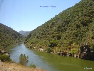 A Caminho da Valeira
 