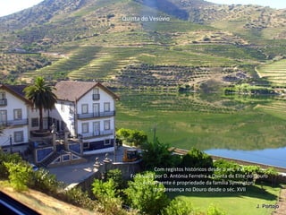 Com registos históricos desde o séc. XVI
Foi levada por D. Antónia Ferreira a Quinta de Elite do Douro
Actualmente é propriedade da família Symington,
com presença no Douro desde o séc. XVII
Quinta do Vesúvio
 