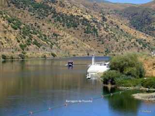 Barragem do Pocinho
 