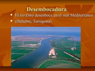 Desembocadura
   El río Ebro desenboca en el mar Mediterráneo
   (Deltebre, Tarragona)
 