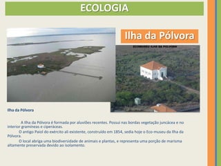 ECOLOGIA

                                                                   Ilha da Pólvora




Ilha da Pólvora

        A Ilha da Pólvora é formada por aluviões recentes. Possui nas bordas vegetação juncácea e no
interior gramíneas e ciperáceas.
       O antigo Paiol do exército ali existente, construído em 1854, sedia hoje o Eco-museu da Ilha da
Pólvora.
       O local abriga uma biodiversidade de animais e plantas, e representa uma porção de marisma
altamente preservada devido ao isolamento.
 