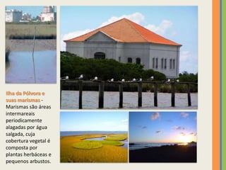 Ilha da Pólvora e
suas marismas -
Marismas são áreas
intermareais
periodicamente
alagadas por água
salgada, cuja
cobertura vegetal é
composta por
plantas herbáceas e
pequenos arbustos.
 